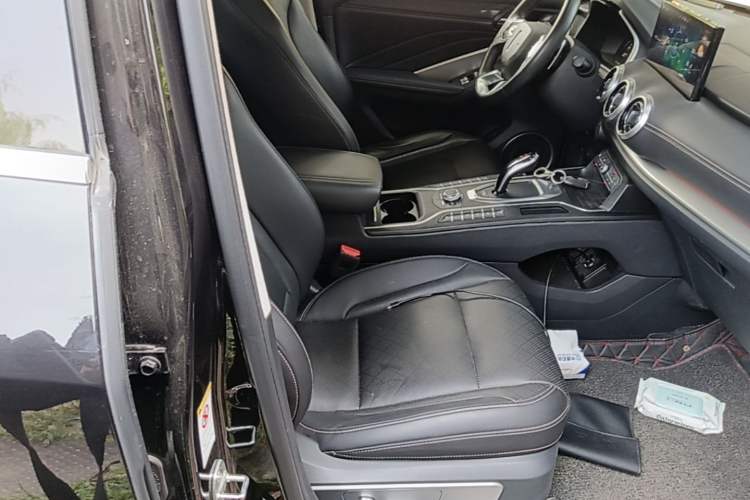 Used Wey VV6 2021 2.0T Two-Wheel Drive Smart Protection+ Right Front Seat