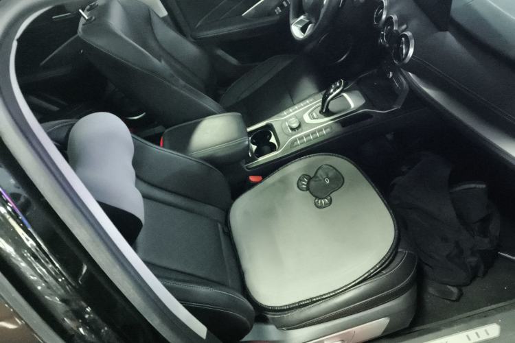 Used Wey VV6 2021 2.0T Two-Wheel Drive Smart Protection+ Right Front Seat