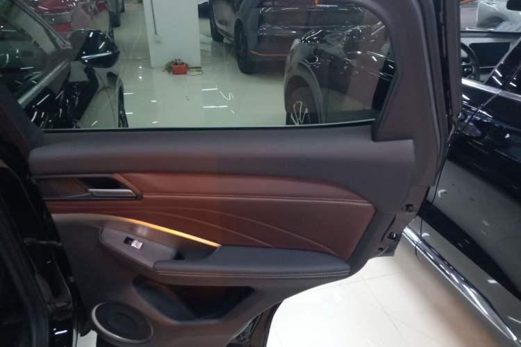 Used Wey VV6 2021 2.0T Two-Wheel Drive Smart Protection+ Right Rear Door Interior