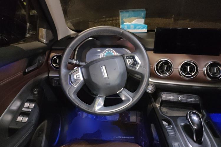 Used Wey VV6 2021 2.0T Two-Wheel Drive Smart Plus Steering Wheel