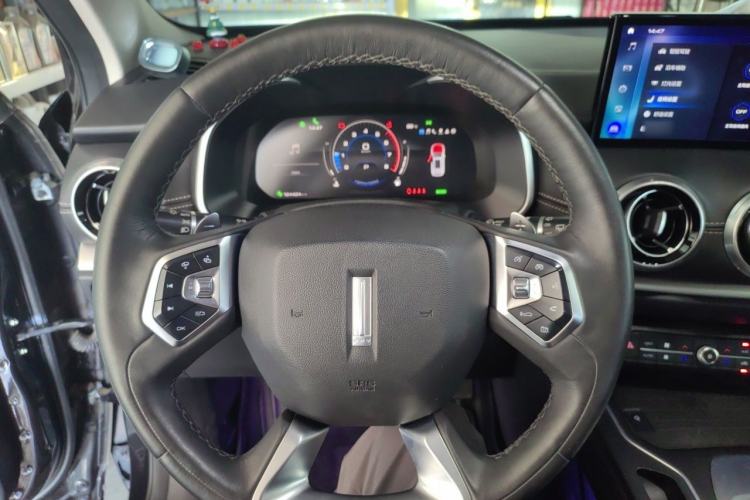 Used Wey VV6 2021 2.0T Two-Wheel Drive Smart Plus Steering Wheel