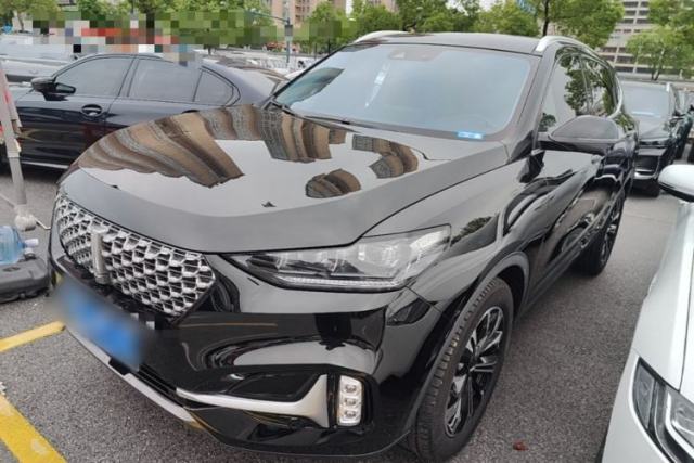 Used Wey VV6 2021 2.0T Two-Wheel Drive Smart Protection+