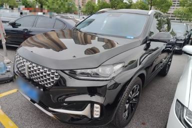 Used Wey VV6 2021 2.0T Two-Wheel Drive Smart Protection+