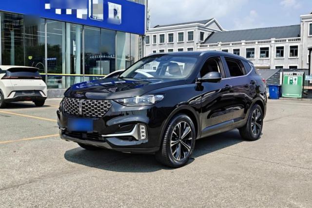 Wey VV6 2021 2.0T Two-Wheel Drive Smart Protection+ usata