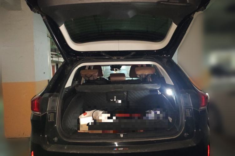 Used Wey VV6 2021 2.0T Two-Wheel Drive Smart Protection+ Trunk