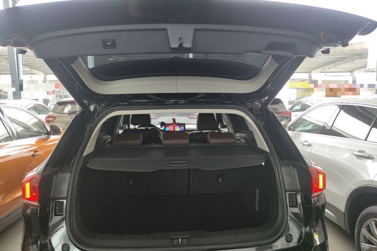 Used Wey VV6 2021 2.0T Two-Wheel Drive Smart Protection+ Trunk