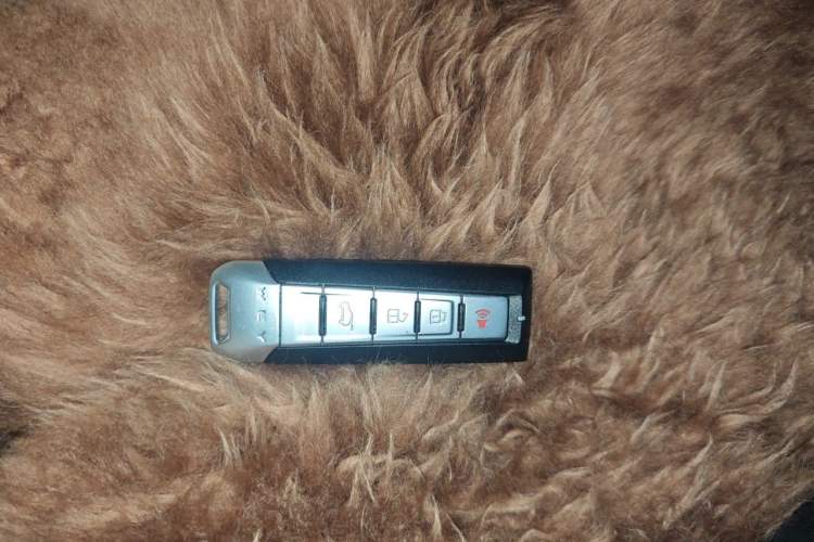Used Wey VV6 2021 2.0T Two-Wheel Drive Smart Protection+ Vehicle Key