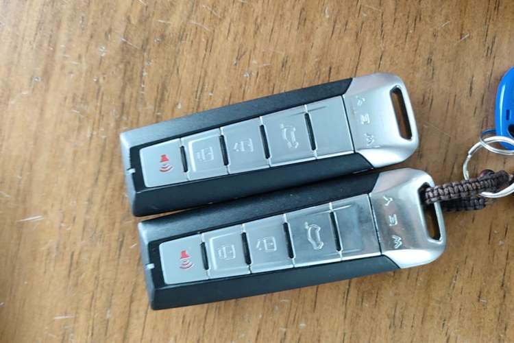 Used Wey VV6 2021 2.0T Two-Wheel Drive Smart Protection+ Vehicle Key