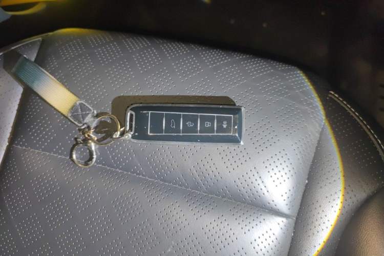 Used Wey VV6 2021 2.0T Two-Wheel Drive Smart Plus Vehicle Key