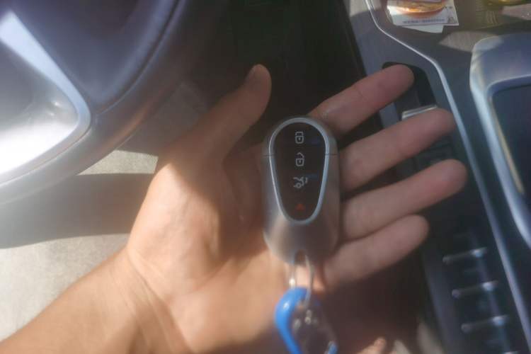 Used Wey VV6 2021 2.0T Two-Wheel Drive Smart Protection+ Vehicle Key