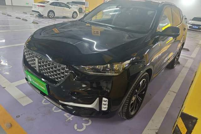 Używany Wey VV6 2021 2.0T Two-Wheel Drive Smart Plus