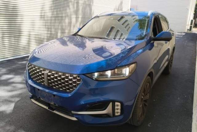Used Wey VV6 2021 2.0T Two-Wheel Drive Smart Protection+
