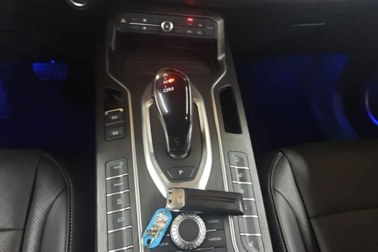Used Wey VV6 2021 2.0T Two-Wheel Drive Smart Protection+ Gear Lever