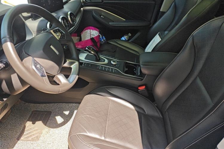 Used Wey VV6 2021 2.0T Two-Wheel Drive Smart Plus Left Front Seat