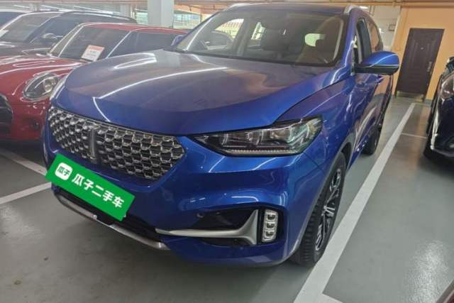 Used Wey VV6 2021 2.0T Two-Wheel Drive Smart Protection+