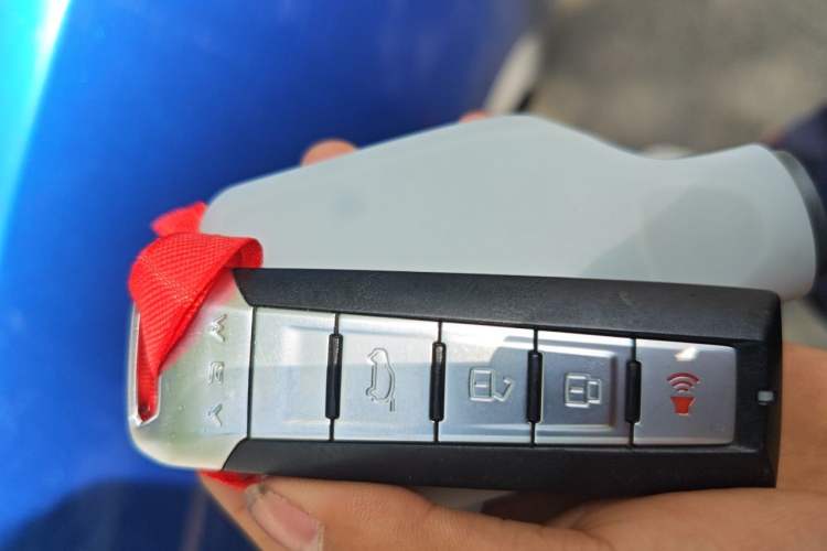 Used Wey VV6 2021 2.0T Two-Wheel Drive Smart Plus Vehicle Key