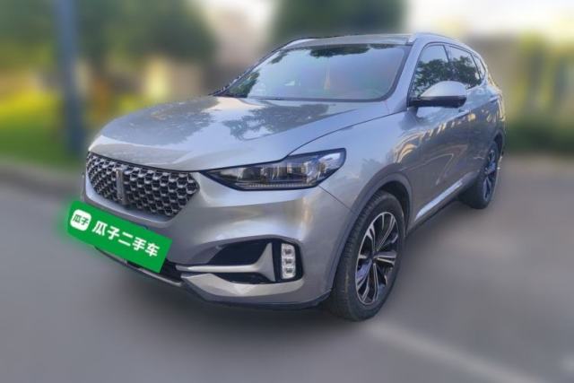 Used Wey VV6 2021 2.0T Two-Wheel Drive Smart Protection+