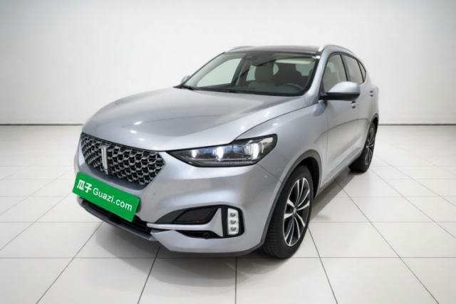Wey VV6 2021 2.0T Two-Wheel Drive Smart Plus usado