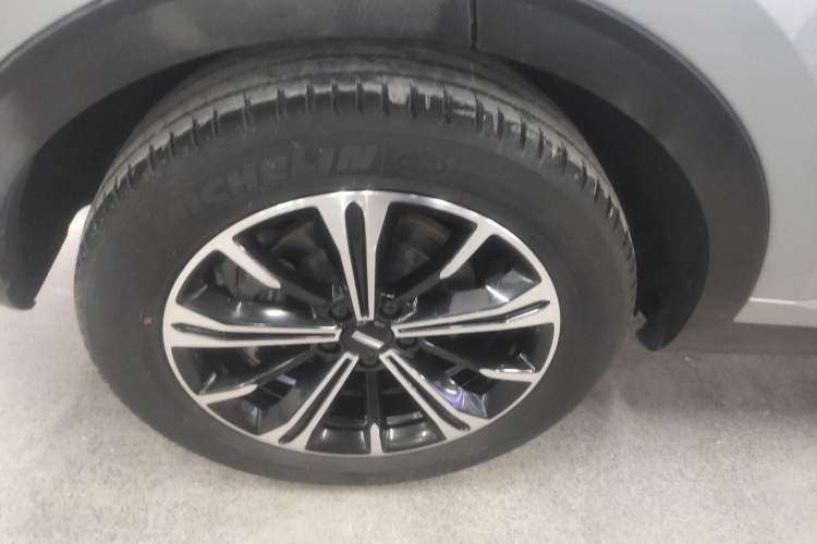 Used Wey VV6 2021 2.0T Two-Wheel Drive Smart Protection+ Exterior 5
