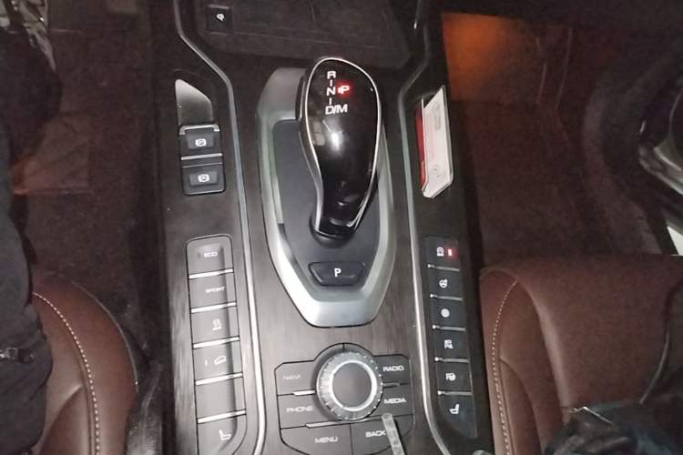Used Wey VV6 2021 2.0T Two-Wheel Drive Smart Plus Gear Lever