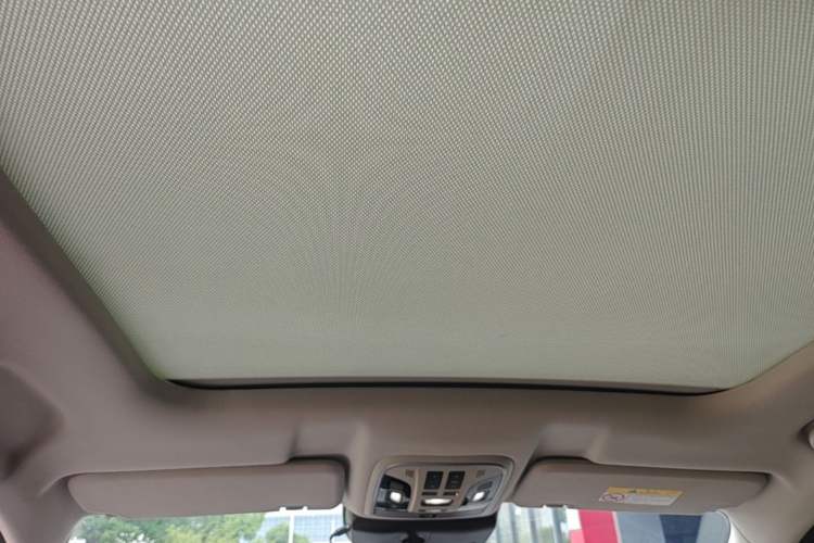 Used Wey VV6 2021 2.0T Two-Wheel Drive Smart Protection+ Headliner