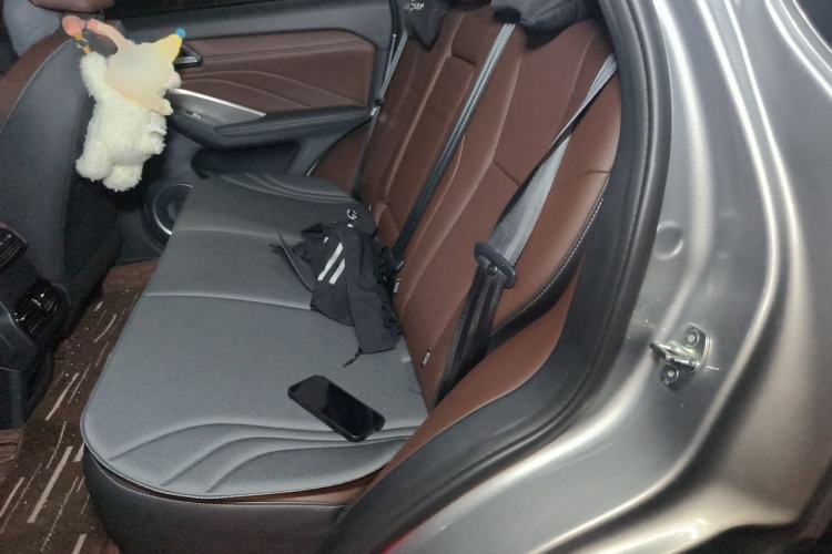 Used Wey VV6 2021 2.0T All-Wheel Drive Zhiyu+ Left Rear Seat
