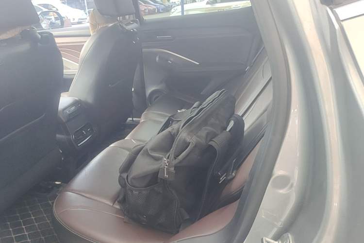 Used Wey VV6 2021 2.0T Two-Wheel Drive Smart Plus Left Rear Seat