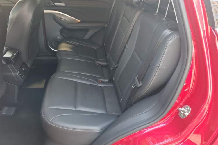 Used Wey VV6 2021 2.0T Two-Wheel Drive Smart Plus Left Rear Seat
