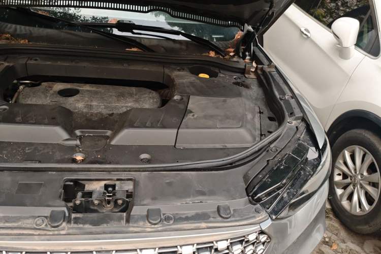 Used Wey VV6 2021 2.0T Two-Wheel Drive Smart Plus Engine Bay Left