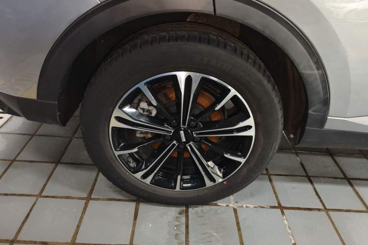 Used Wey VV6 2021 2.0T Two-Wheel Drive Smart Plus Exterior 5