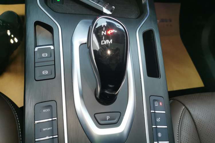 Used Wey VV6 2021 2.0T Two-Wheel Drive Smart Plus Gear Lever