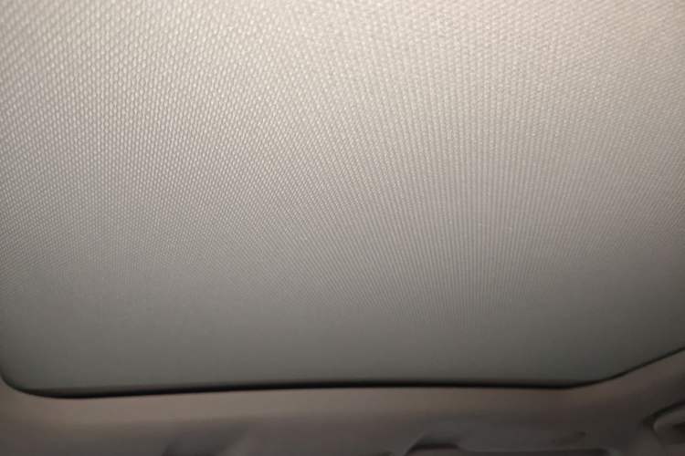 Used Wey VV6 2021 2.0T Two-Wheel Drive Smart Plus Headliner