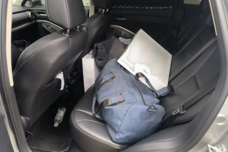 Used Wey VV6 2021 2.0T Two-Wheel Drive Smart Plus Left Rear Seat