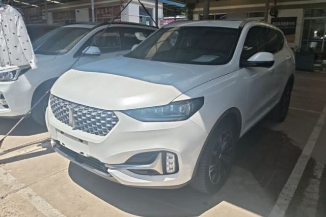 Used Wey VV6 2021 2.0T Two-Wheel Drive Smart Plus