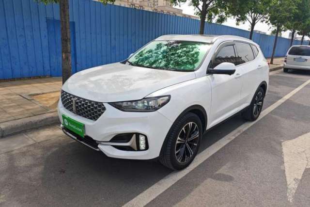 Used Wey VV6 2021 2.0T Two-Wheel Drive Smart Protection+