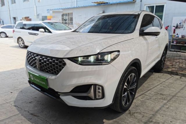 Used Wey VV6 2021 2.0T Two-Wheel Drive Smart Protection+