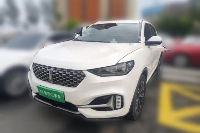 Used Wey VV6 2021 2.0T Two-Wheel Drive Smart Protection+