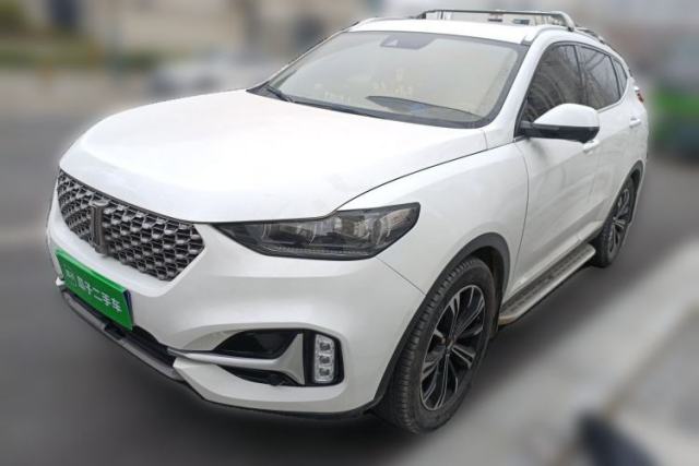 Used Wey VV6 2021 2.0T Two-Wheel Drive Smart Protection+
