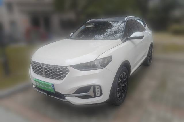 Used Wey VV6 2021 2.0T Two-Wheel Drive Smart Plus