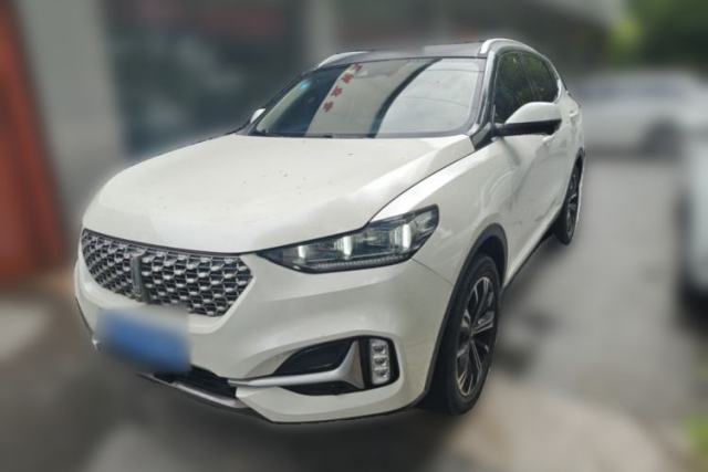 Used Wey VV6 2021 2.0T Two-Wheel Drive Smart Plus