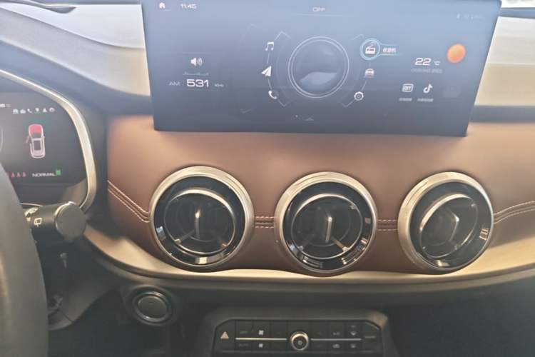 Used Wey VV6 2021 2.0T Two-Wheel Drive Smart Plus Audio And AC Panel