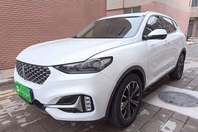 Used Wey VV6 2021 2.0T Two-Wheel Drive Smart Protection+