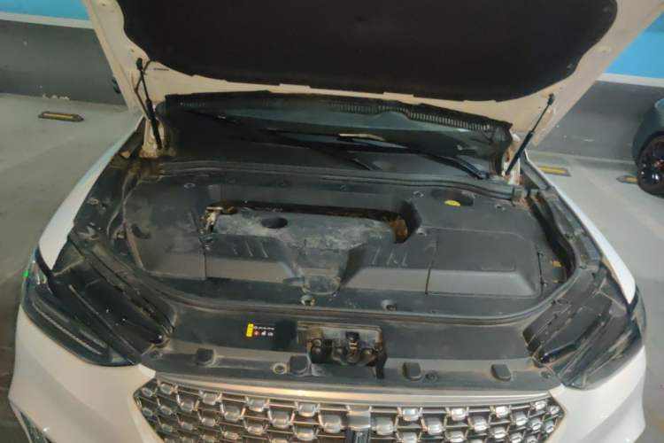 Used Wey VV6 2021 2.0T Two-Wheel Drive Smart Protection+ Engine Bay