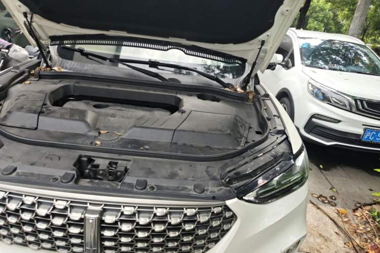 Used Wey VV6 2021 2.0T Two-Wheel Drive Smart Plus Engine Bay Left
