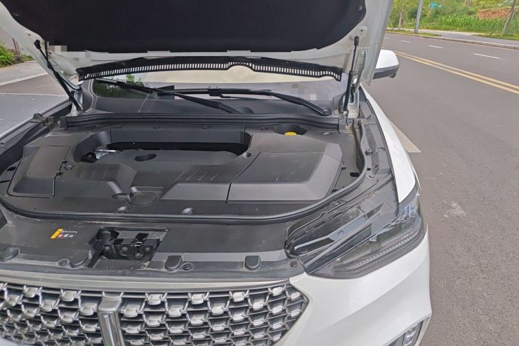 Used Wey VV6 2021 2.0T Two-Wheel Drive Smart Plus Engine Bay Left
