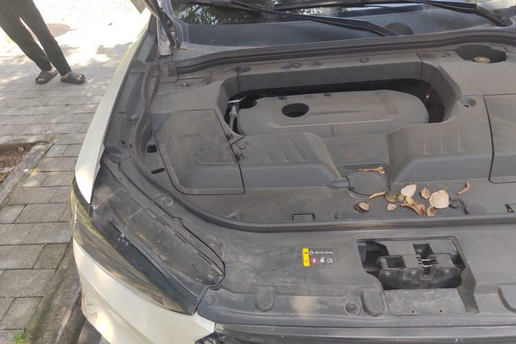 Used Wey VV6 2021 2.0T Two-Wheel Drive Smart Protection+ Engine Bay Right