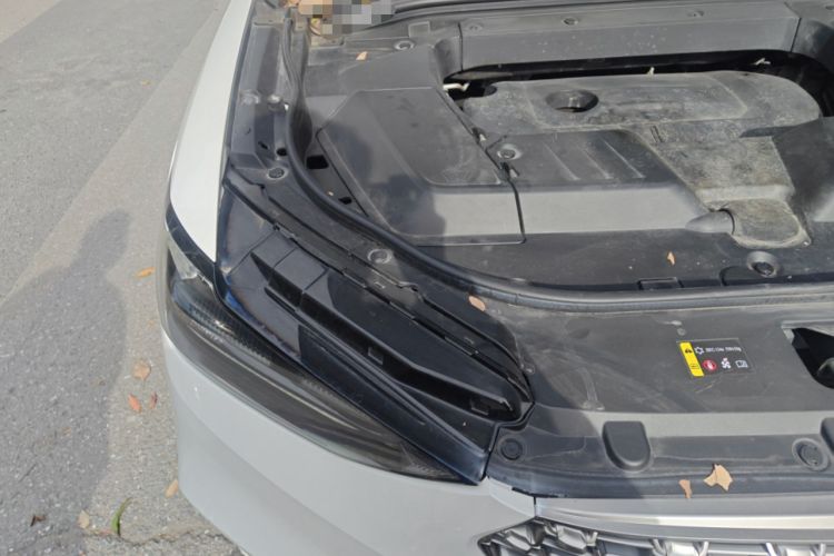 Used Wey VV6 2021 2.0T Two-Wheel Drive Smart Plus Engine Bay Right