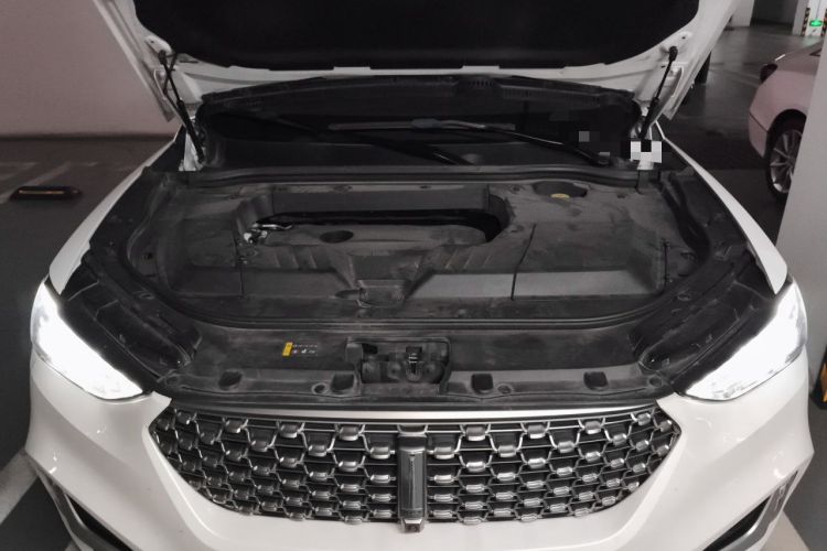 Used Wey VV6 2021 2.0T Two-Wheel Drive Smart Protection+ Engine Bay