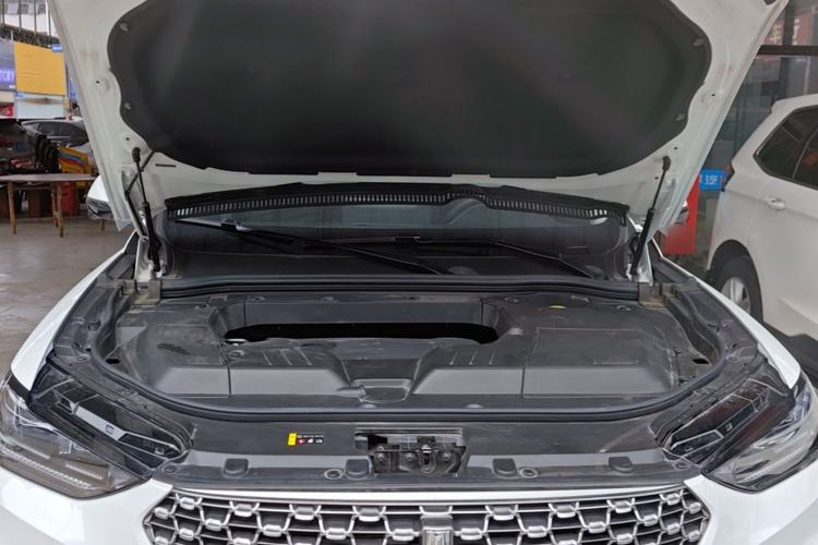 Used Wey VV6 2021 2.0T Two-Wheel-Drive Child-Care Edition Engine Bay