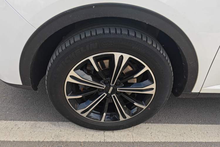 Used Wey VV6 2021 2.0T Two-Wheel Drive Smart Protection+ Exterior 3